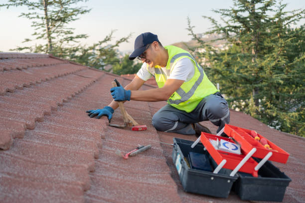 Best Flat Roof Repair Services  in Plain City, UT