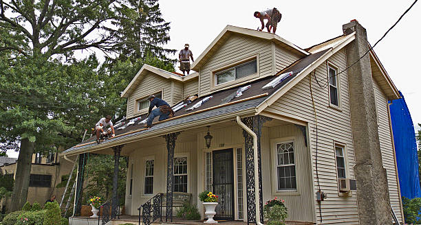 Quick and Trustworthy Emergency Roof Repair Services in Plain City, UT